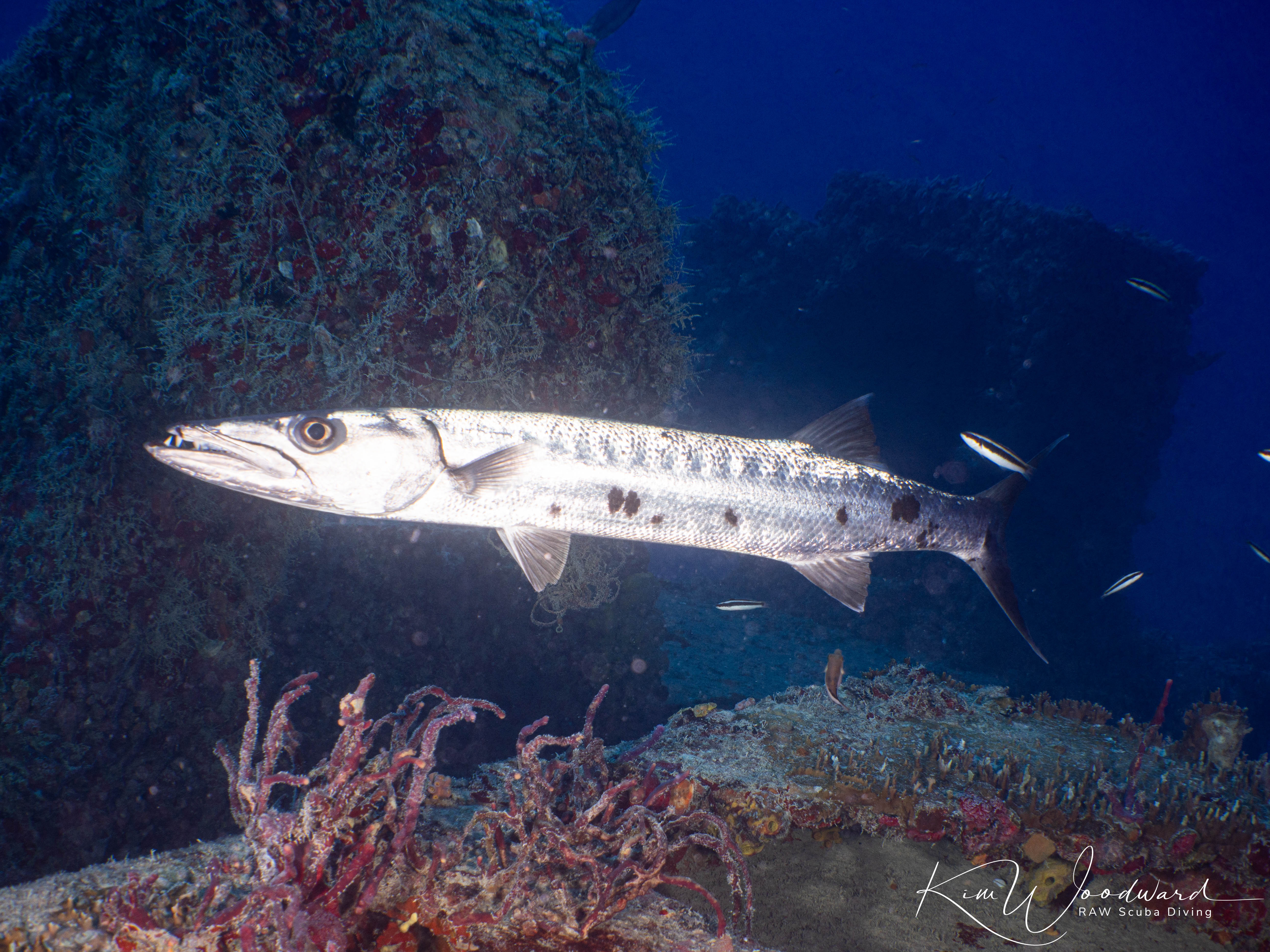 USS Vandenberg Key West 26 21