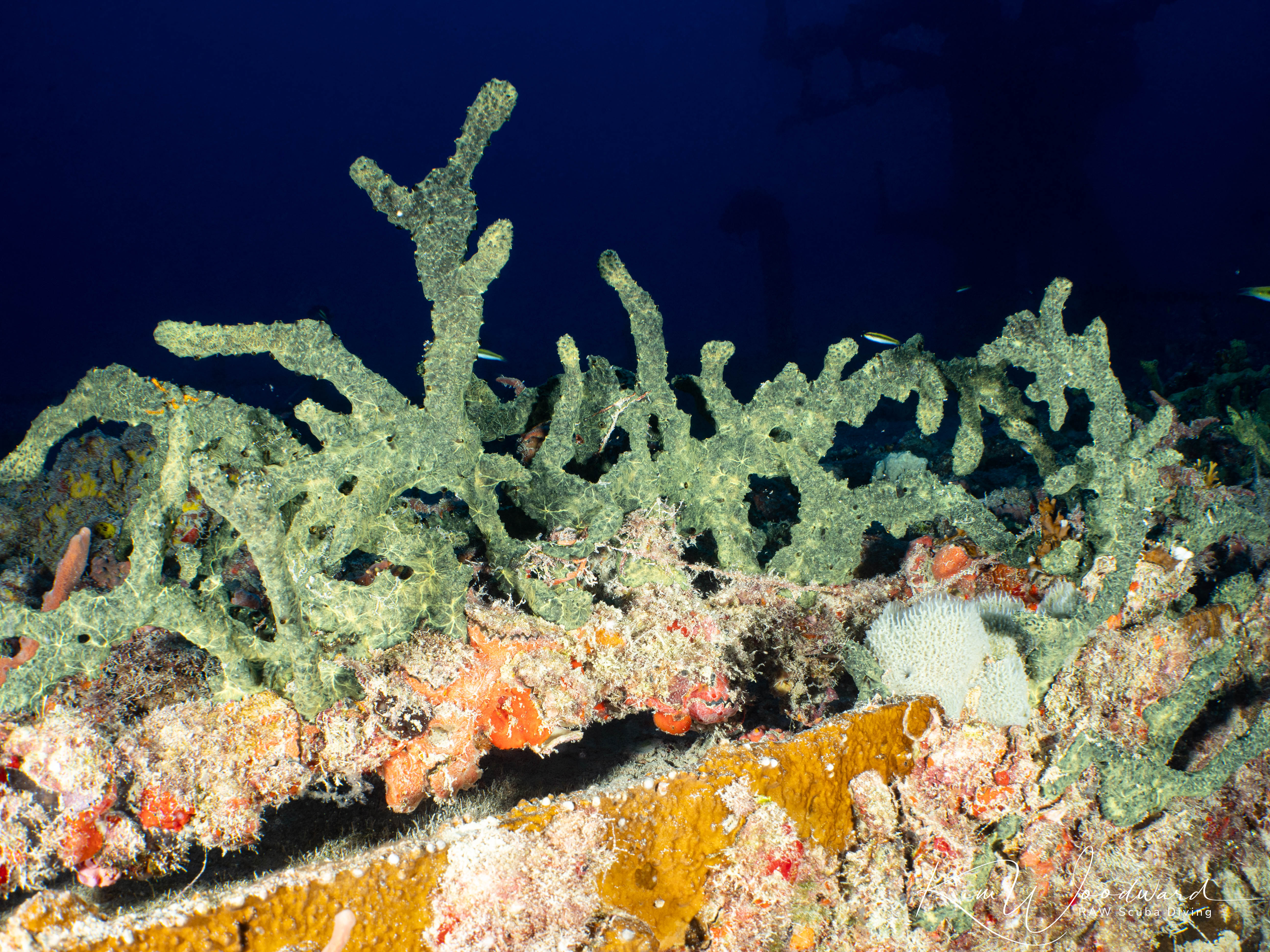 USS Vandenberg Key West 26 26